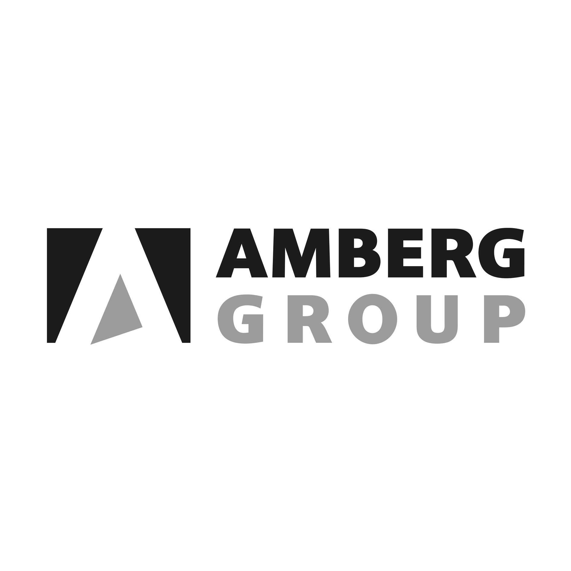 Amberg Group Logo 2016 01